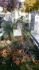 Koschetitzky Grab vor Neubepflanzung , Baumgartner Friedhof